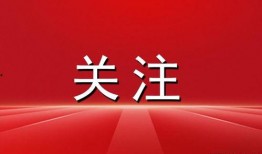 潍坊最新热点爆料,揭秘城市新动态，聚焦民生焦点事件